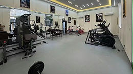 推荐一些性价比高的健身器材品牌